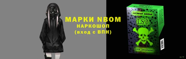 сатива Белокуриха