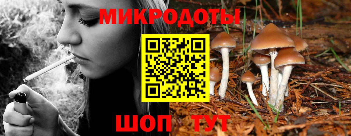 Корсаков  Псилоцибиновые грибы мухоморы  Вход с VPN  Галлюциногенные грибы GOLDEN TEACHER 